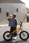 RoyalBaby BMX Freestyle 12'' Sport Kids Bike 12 Inch Wheel Bicycle Boys Girls Ages 3+ Years